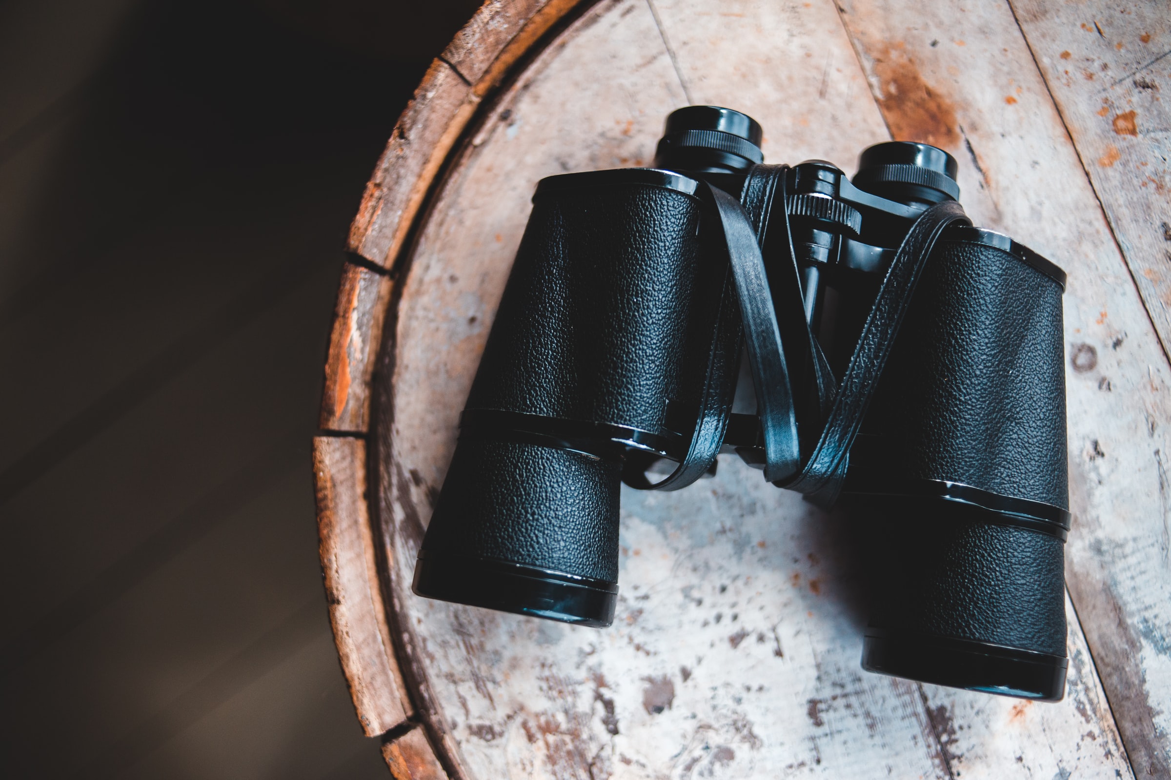 Photo by Erik Mclean on Unsplash
